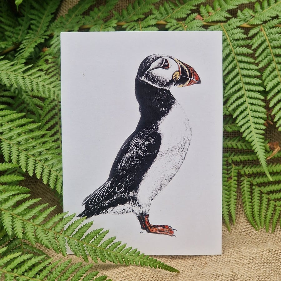 Puffin card