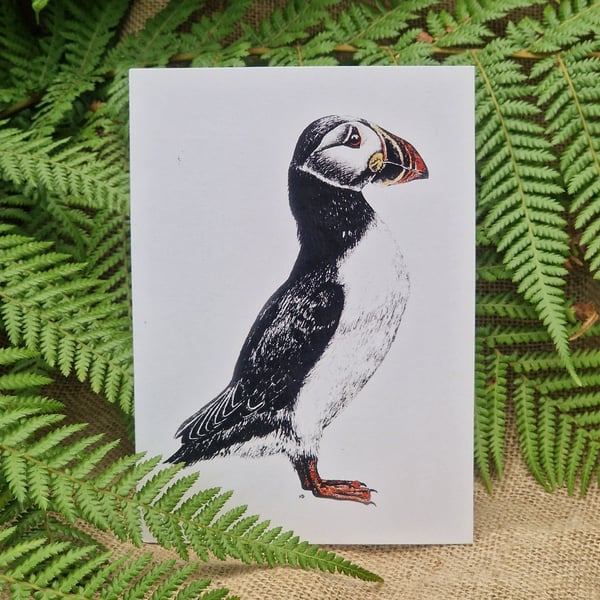 Puffin card