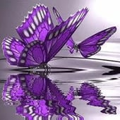Butterfly Sparkles - UK