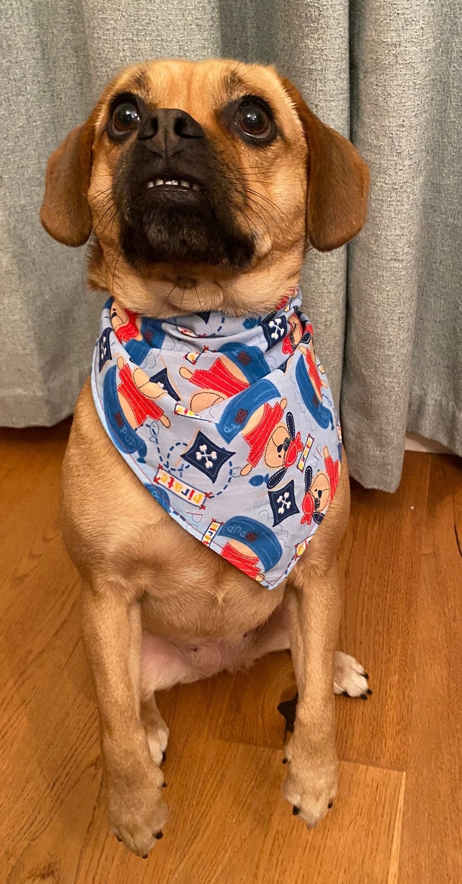 Pirate Pup dog bandana, reversible, neckerchief style