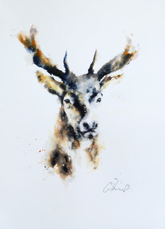 Stag, Professional Giclée Print.