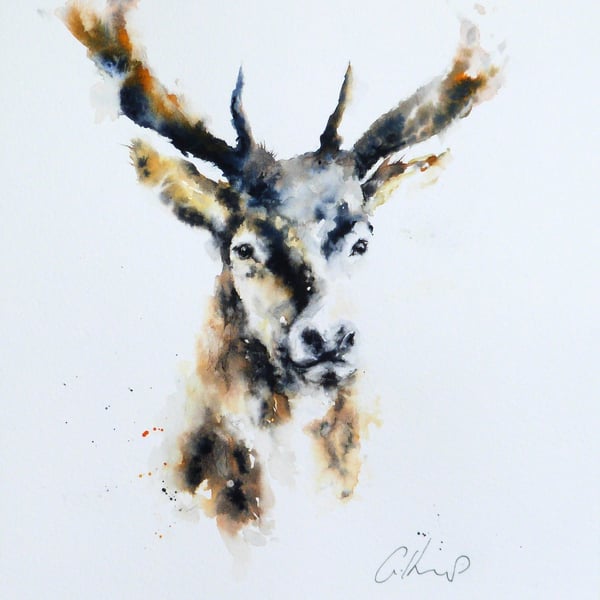 Stag, Professional Giclée Print.