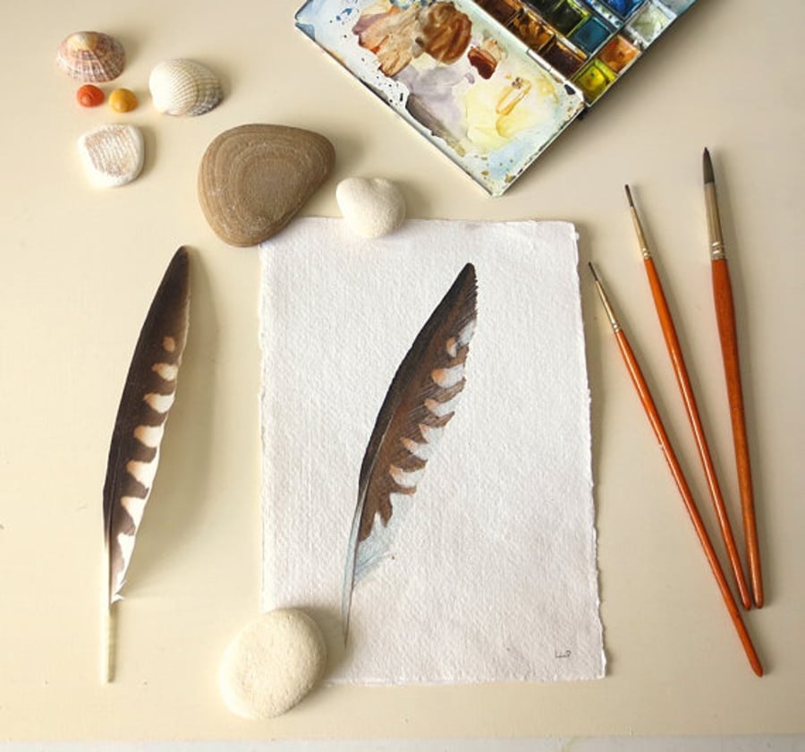 Original watercolour illustration painting feather study 
