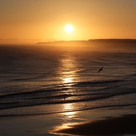 Landscape Photography Print, Golden Sunrise Coast Sunset, Home Decor, Wall Art