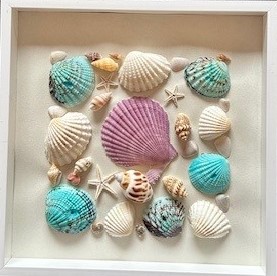 Seashells in a Square Shape