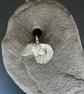 Scallop Shell Necklace with Hidden Pearl - Image 2