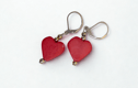Wooden Earrings 