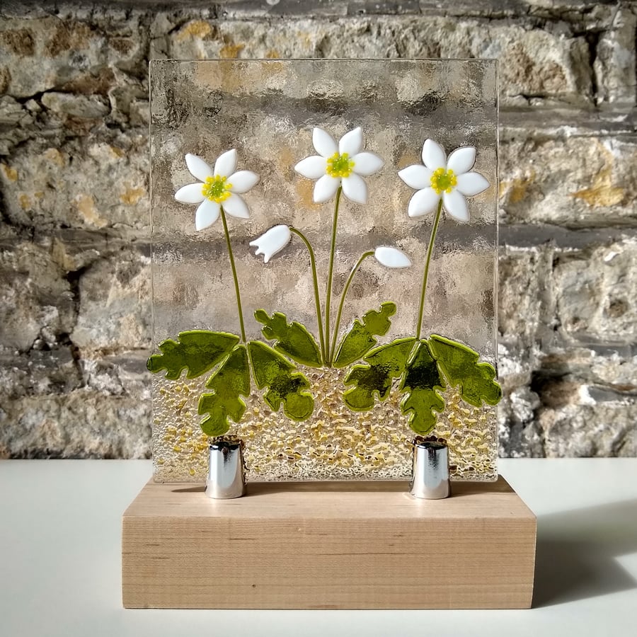 Fused glass wood anemone panel