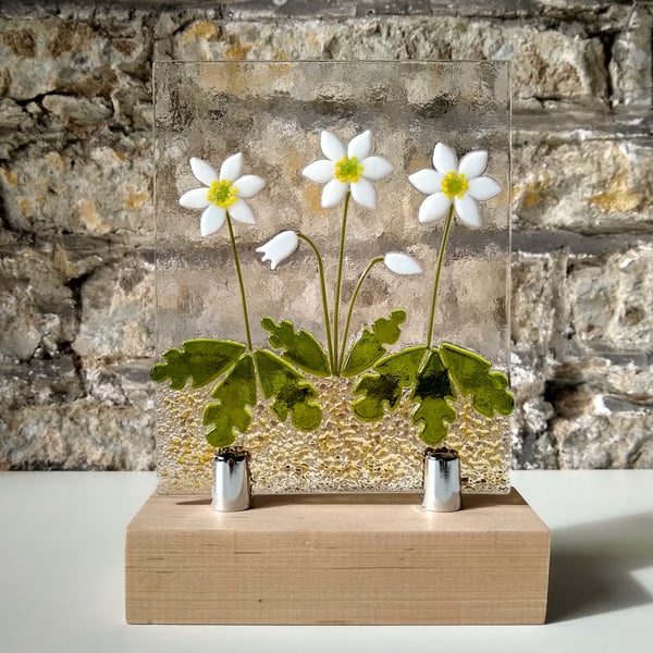 Fused glass wood anemone panel