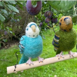 Felted budgies 