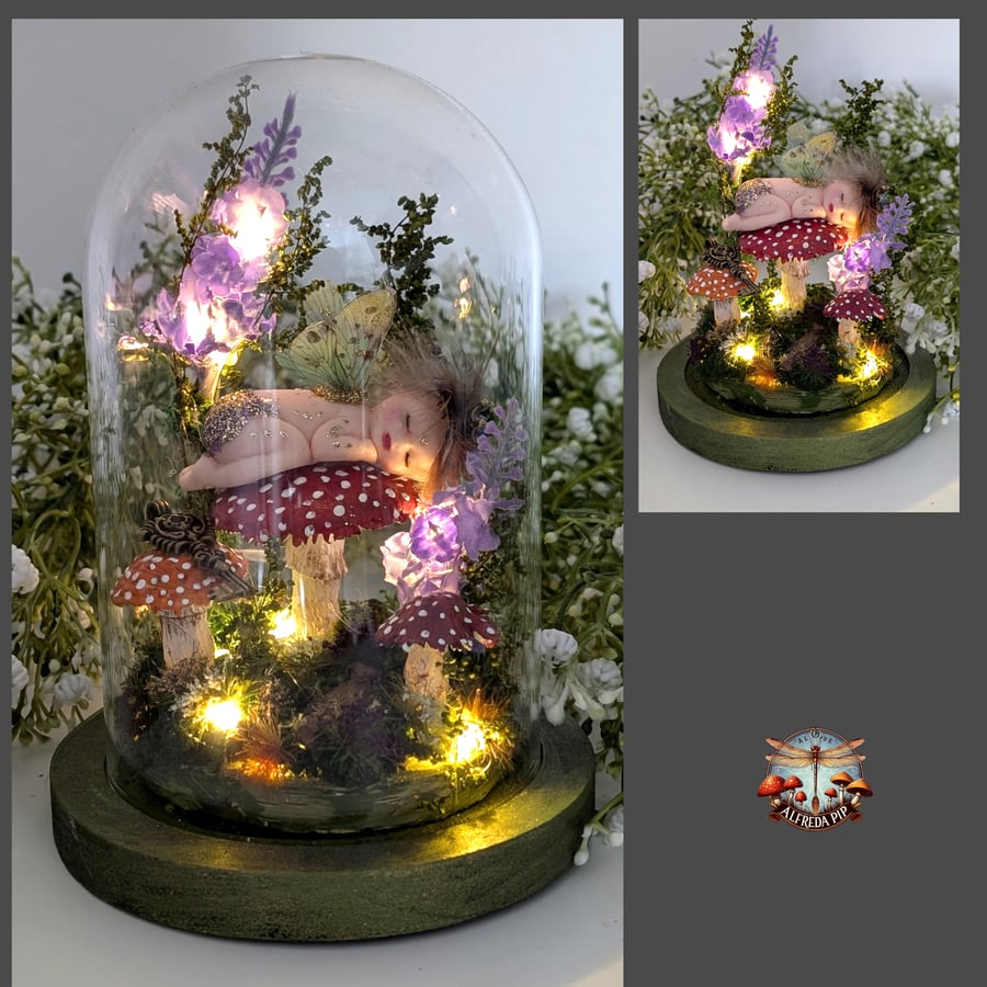 Rosehip amongst the Toadstools Light up glass Dome 