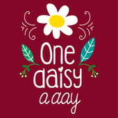 One Daisy a Day
