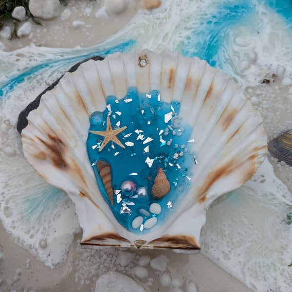 Hanging Shell With Resin Rockpool