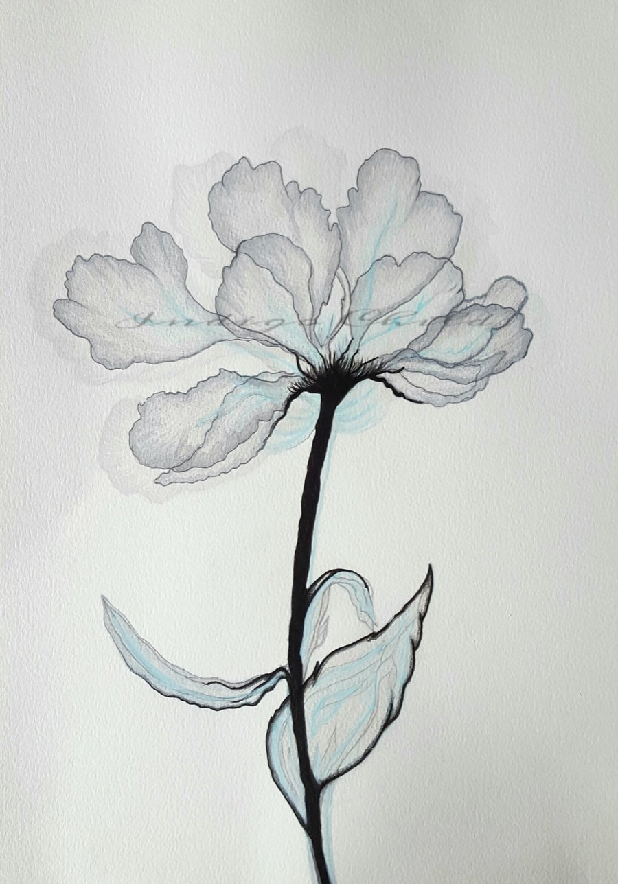 Art Drawing Blue Grey X-Ray Flower Drawing