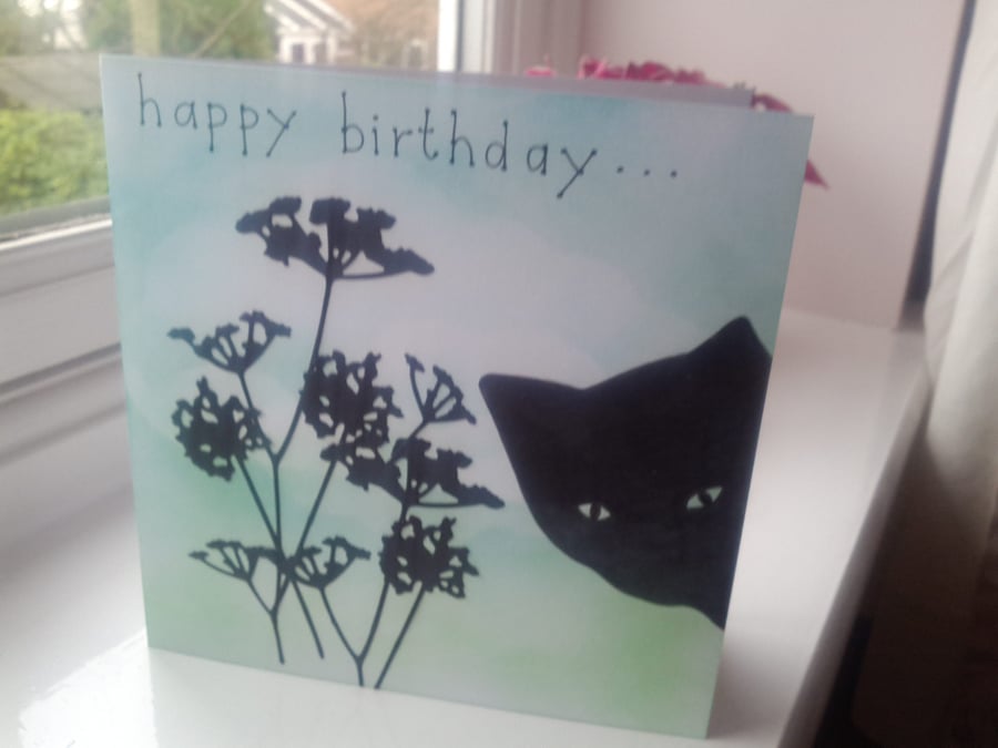 Allium peeping cat open card