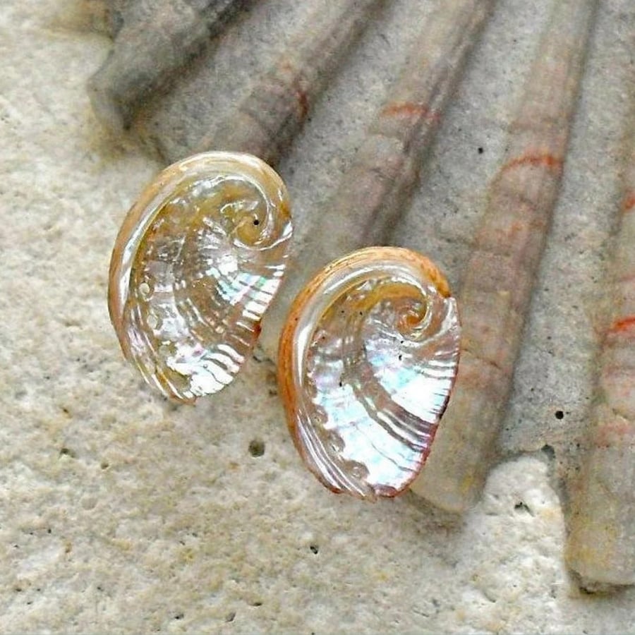 Ormer Shell Stud Earrings