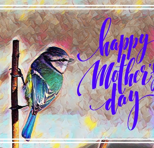 Happy Mother's Blue Tit Bird Card A5