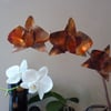 Copper orchid