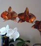 Copper orchid - Image 1