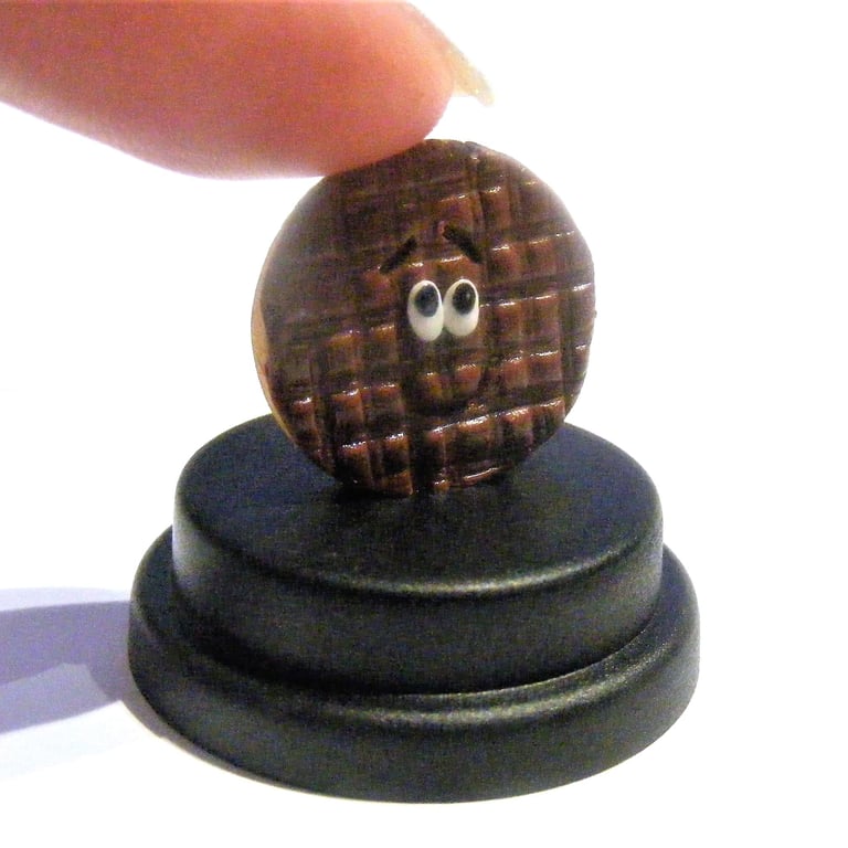 Pet Digestive Biscuit, Iconic Chocolate biscuit, Biscuit lover, Tea and biscuit