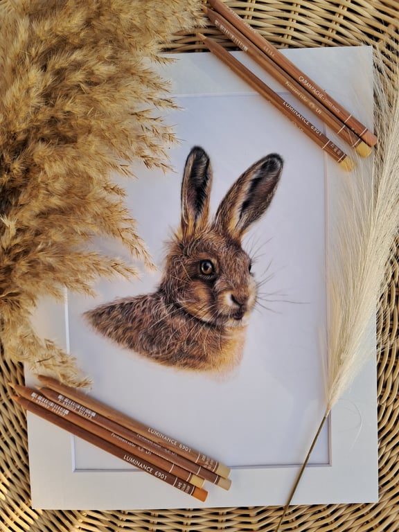 Hare Drawing Fine Art Bristol Wildlife