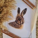 Hare Drawing Fine Art Bristol Wildlife