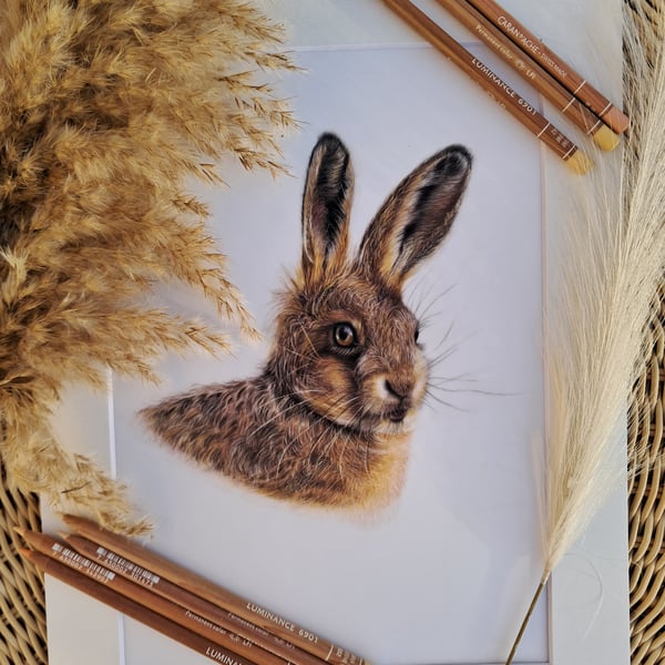 Hare Drawing Fine Art Bristol Wildlife