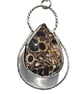 Necklace Silver Turitella Fossil Jewellery Teardrop Pendant Sustainable Gift - Image 8