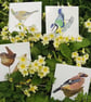 Dartmoor Spring Bird Card - Pack of 4