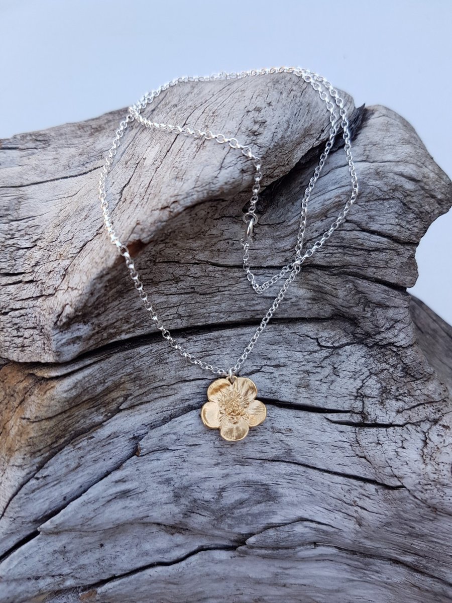 Golden Buttercup Small