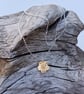 Golden Buttercup Small - Image 1