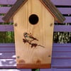 Bird house or nesting box Blue tit on Branch 