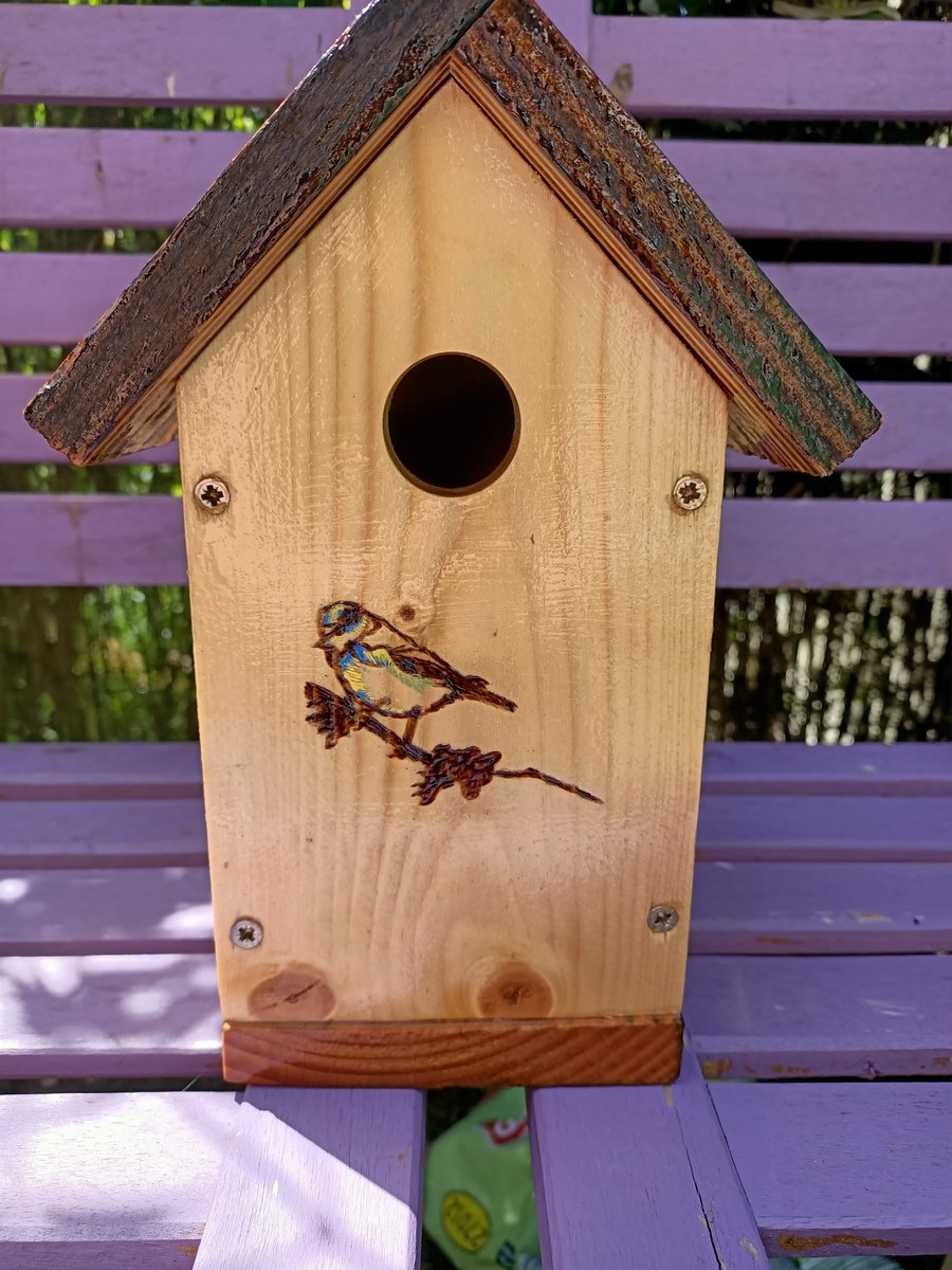 Bird house or nesting box Blue tit on Branch 