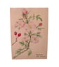 Water colour botanical mini prints  - Image 3