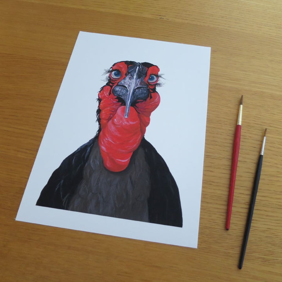 Hornbill Giclée Print A4