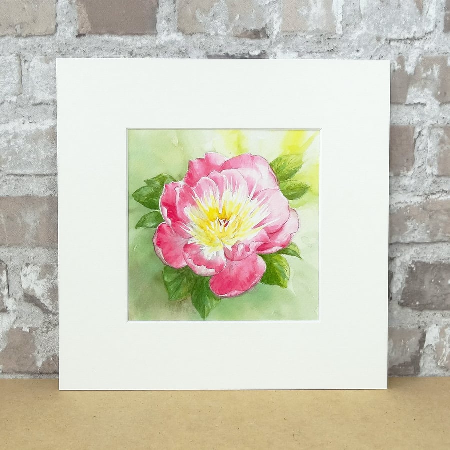 Peony Painting Original Floral Watercolour Art