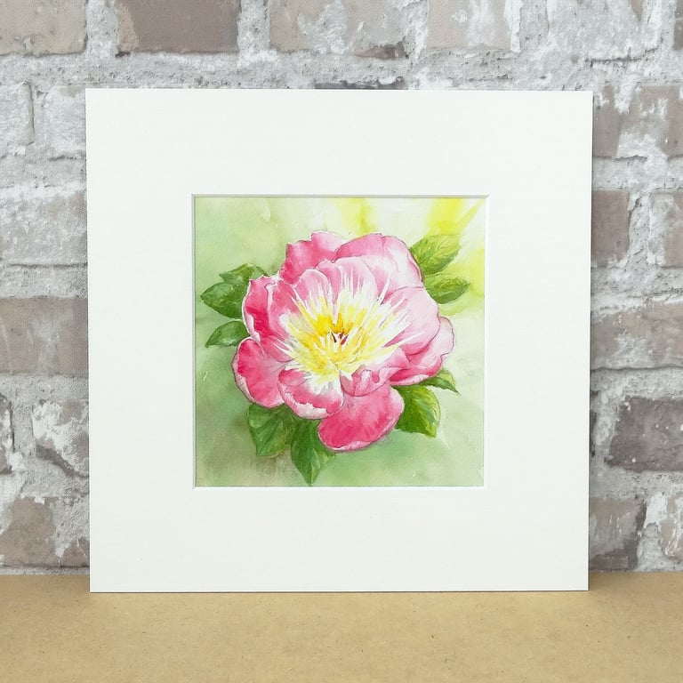 Peony Painting Original Floral Watercolour Art