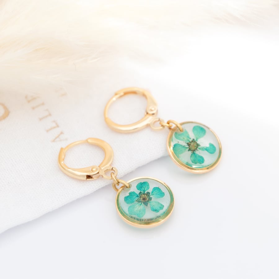 Gold huggie hoop earrings with dried turquoise flower in resin
