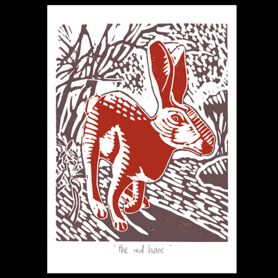 Red Hare greeting card (3 pack)