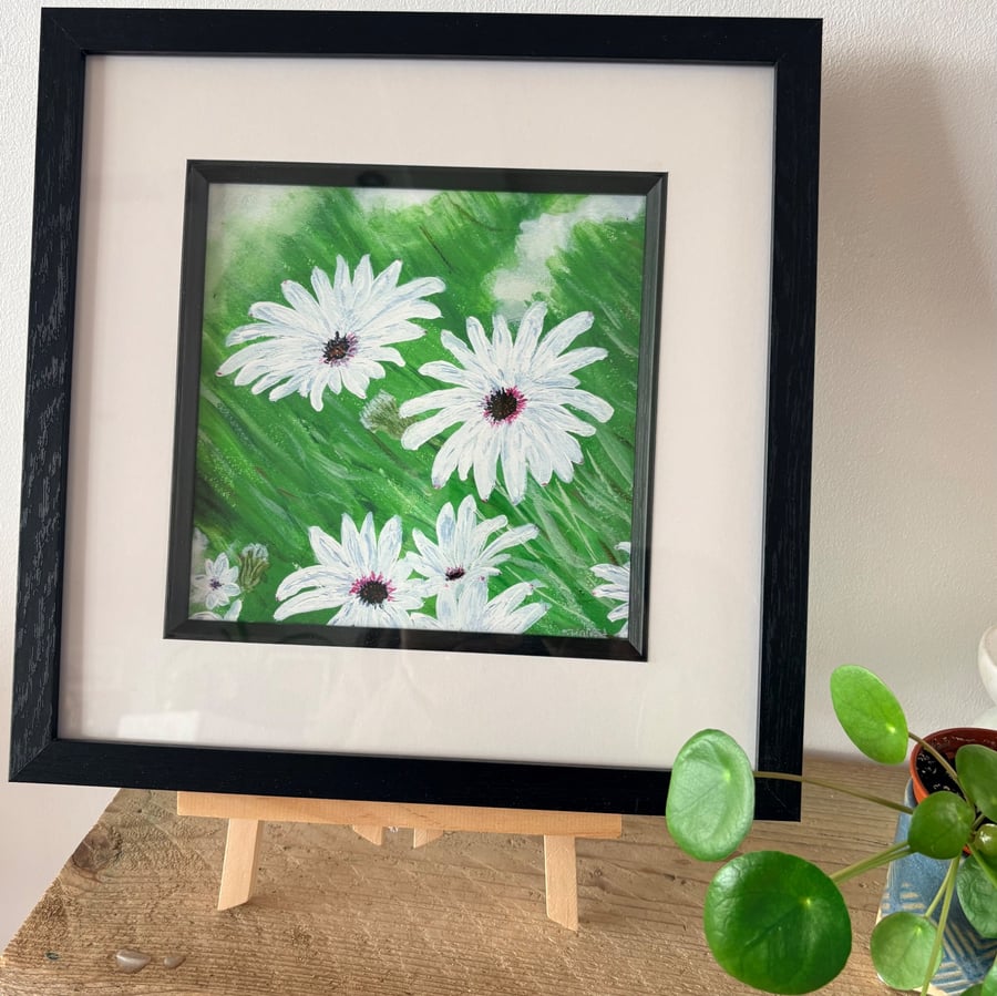Original floral Art print- The White Collection-Osteospermums 