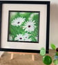 Original Art print- The White Collection-Osteospermums 