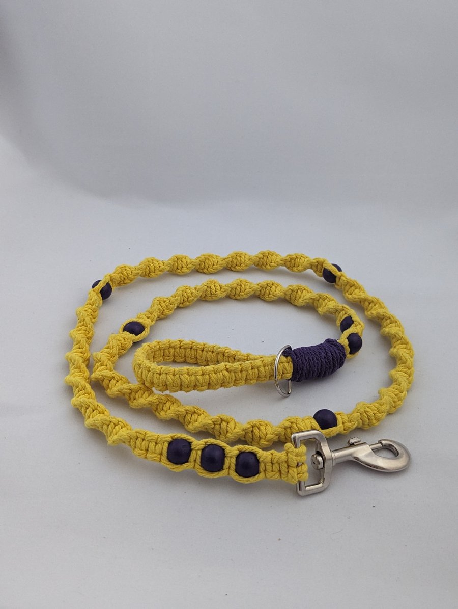 Macrame dog lead