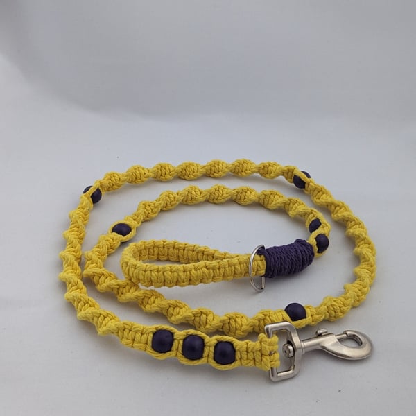 Macrame dog lead