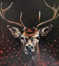 Highland Stag Painting - Original Acrylic Wildlife Art with Copper Highlights