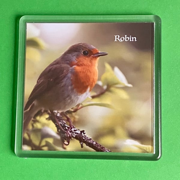 Robin on a Branch - Coaster - Drinks Mat