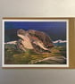 Turtle A5 Greeting Cards  - Image 1