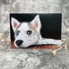 It's Hard Work Being a Puppy Blank Greetings Card Printed from Original Art