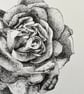 Flower from a garden - Image 4