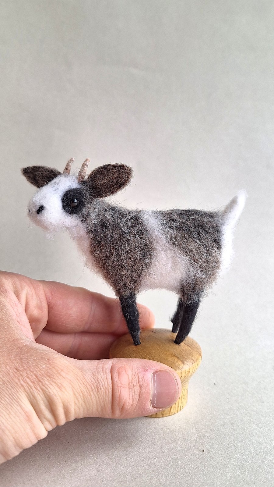 Knob Goat - Scruffy Grey