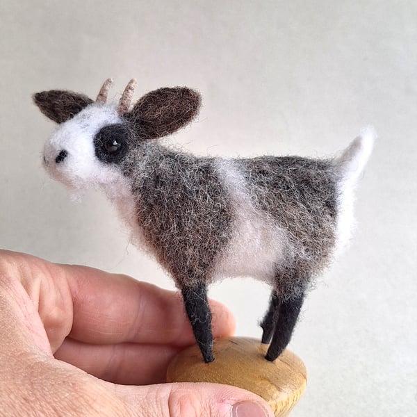 Knob Goat - Scruffy Grey